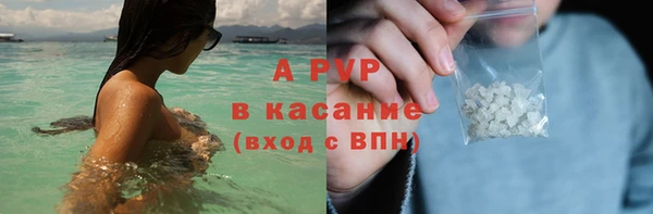 шишки Беломорск