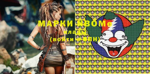 шишки Беломорск